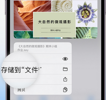 尤溪apple维修中心分享iPhone文件应用中存储和找到下载文件