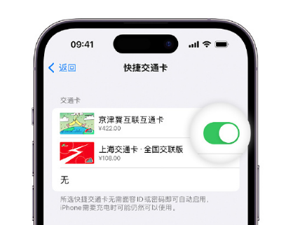 尤溪apple维修点分享iPhone上更换Apple Pay快捷交通卡手绘卡面 