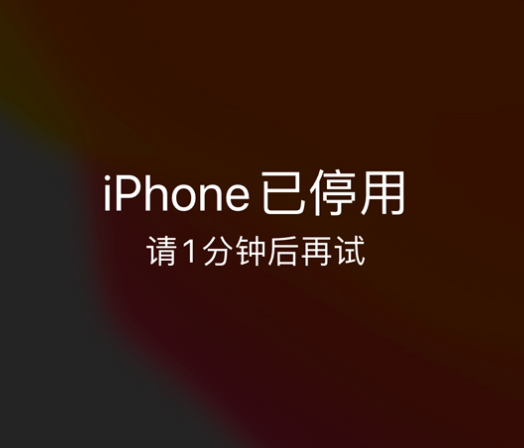 尤溪苹果手机维修分享:iPhone 显示“不可用”或“已停用”怎么办？还能保留数据吗？ 