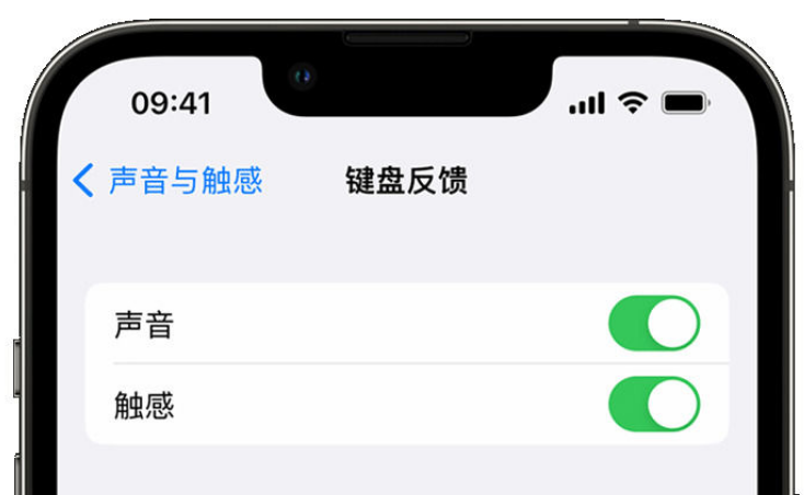 尤溪苹果手机维修分享iPhone 14触感键盘使用方法 