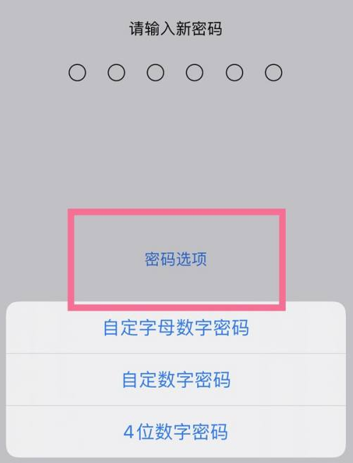 尤溪苹果14维修分享iPhone 14plus设置密码的方法 