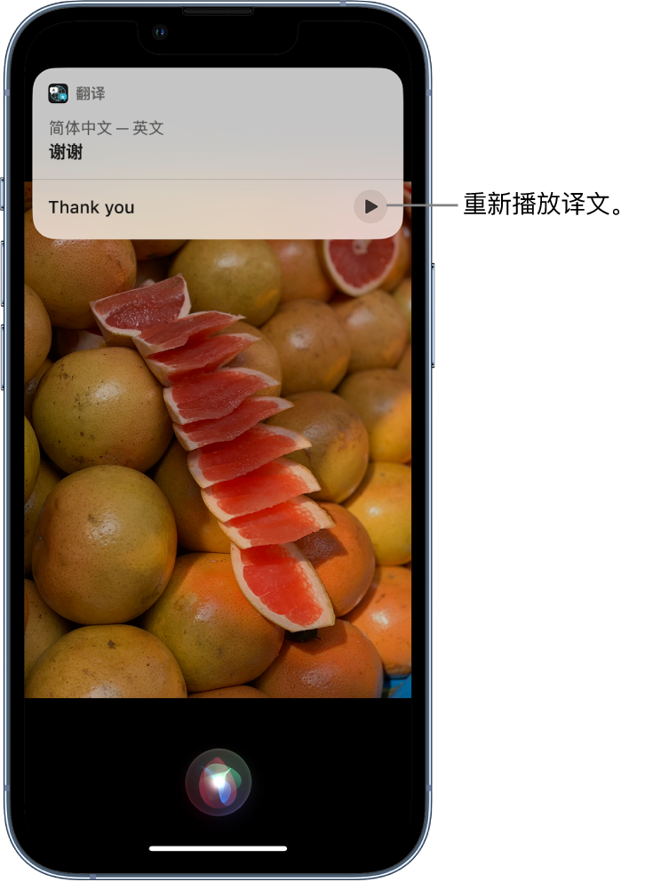 尤溪苹果14维修分享 iPhone 14 机型中使用 Siri：了解 Siri 能帮你做什么 